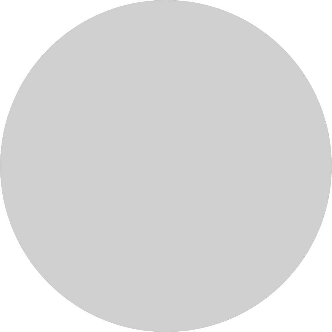 Grey Levels Circle 17 17